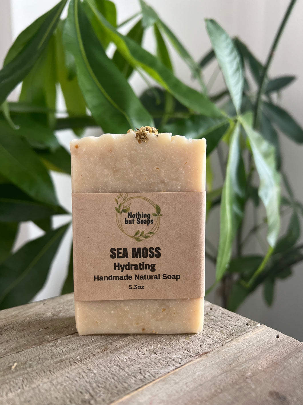 Sea Moss  Soap
